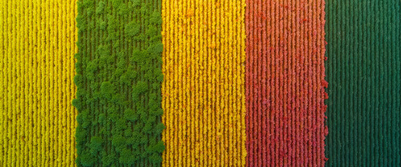 Obraz premium Aerial view of colorful agricultural fields