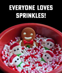 Christmas holiday sprinkles with snowman gingerman characters funny