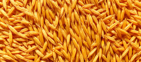 Golden Grain Background