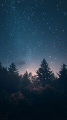 Fototapeta premium dark silhouettes of trees against a starry night sky