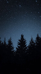 silhouette of trees under a starry night sky - night, forest, stars, trees, silhouette, dark, nature, mood, atmosphere, outdoor, landscape, winter, christmas, holiday, magic