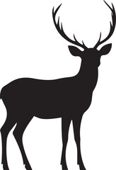 Fototapeta premium silhouette of deer