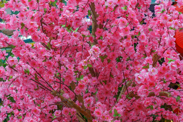 Flowers at the Chinese New Year market