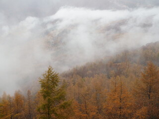 Scenery of Japan - Hakuba, Nagano
