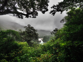 Scenery of Japan - Iriomote Island, Okinawa