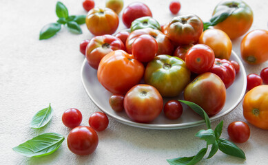 Fresh organic tomatoes