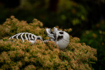 Halloween pumpkin and skeleton for decorated house. Scary Decorated at front yard of a house. Decoration of the house for the holiday of Halloween. Pumpkin skeletons and terrible monsters.