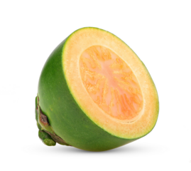 Fresh betel nut isolated on transparent png