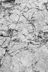 Black and white stone texture. Gray natural rock. Perfect for background.