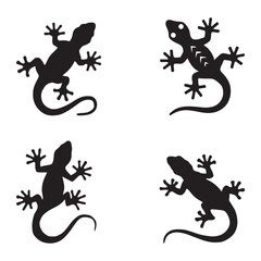 Black and white vector silhouettes set of lizard