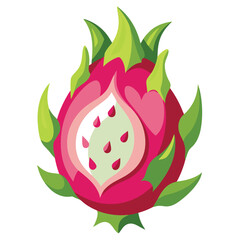 Dragon fruit illustration on white background.