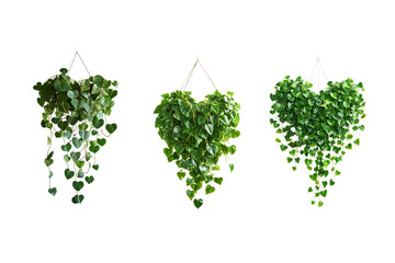 hanging heart shape