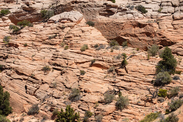 Desert Valley. Rock canyon background, rocky texture. Red rock of the canyon. Arizona and Utah desert.