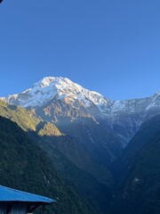 himaleje nepal