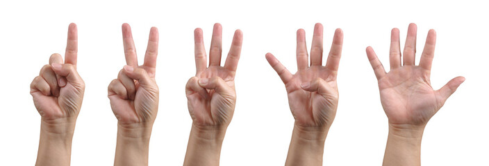 Group of hand show one, two, three, four and five finger gesture for counting number in communication signal concept. Background cutout object.