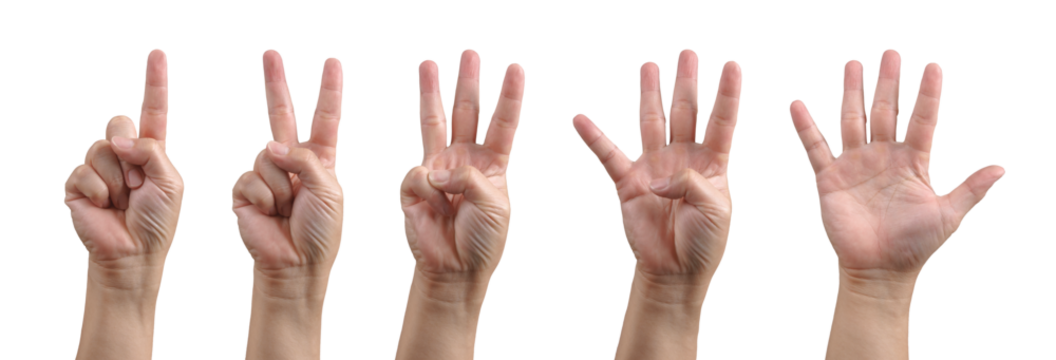 Group of hand show one, two, three, four and five finger gesture for counting number in communication signal concept. Background cutout object.