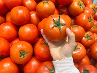 Kids choosing tomatoes on market