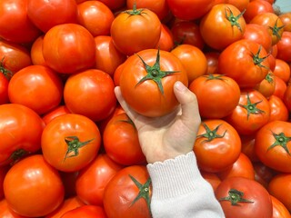Kids buy tamatoes on market