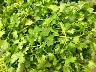 Green wansui or coriander