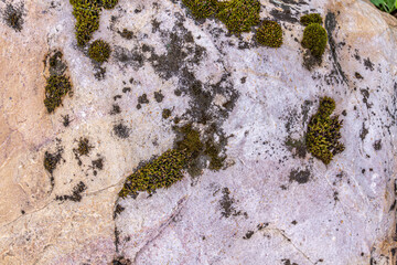 Detailed photo of granite stone surface. Close up texture of natural stone.
