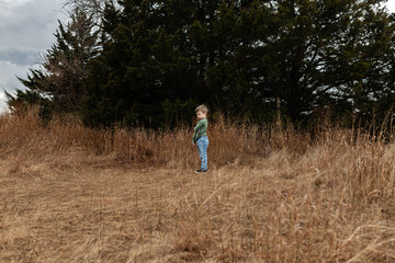 young boy standing alone by evergreen in dry open field in fall