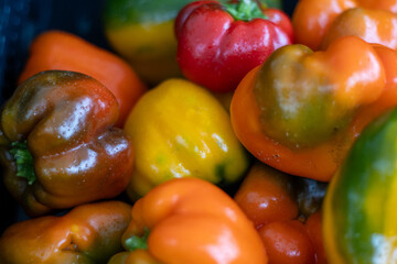 A pile of multicolored bell peppers at a farmers market stall