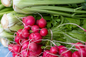 Close up of bundles of vibrant red radishes with stacks of celery