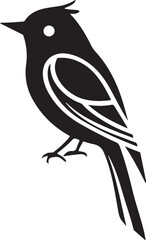Cute black and white bird silhouettes, vector elements for design, birds icon set, animal vector.