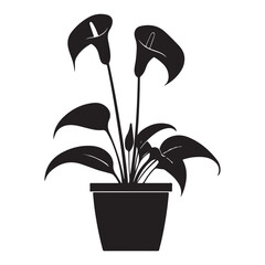 Plant vector illustration isolated on White background, Calla lily flower silhouette vector illustration