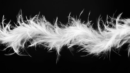 White feather boa isolated on black background, party isolated png like style.. Isolated on black background png like style. Created using Generative AI Technology
