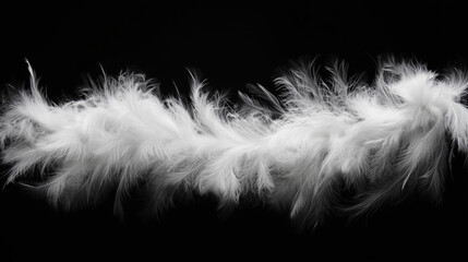 Obraz premium White feather boa isolated on black background, party isolated png like style.. Isolated on black background png like style. Created using Generative AI Technology 