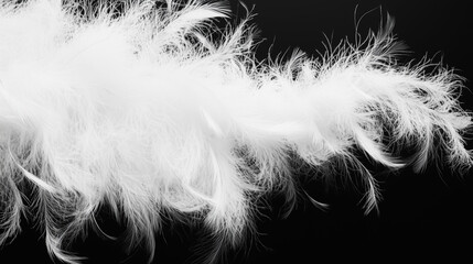 Obraz premium White feather boa isolated on black background, party isolated png like style.. Isolated on black background png like style. Created using Generative AI Technology 