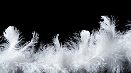 Obraz premium White feather boa isolated on black background, party isolated png like style.. Isolated on black background png like style. Created using Generative AI Technology 
