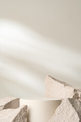 A minimalistic display featuring a smooth white cylinder surrounded by rough gray stone fragments