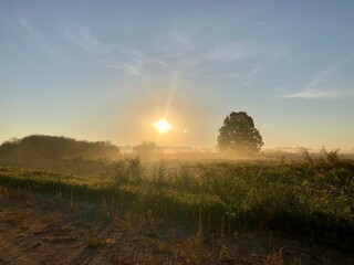 serene landscape of morning foggy field at dawn near the river.