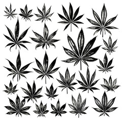 black and white cannabis leaf drawing