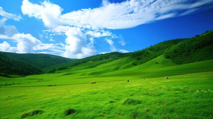 A glorious display of beautiful scenery with natural beauty and expansive grasslands. The grasslands are a vivid green, stretching as far as the eye can see. There are wildflowers dotting the landscap