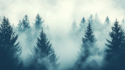 Fototapeta premium Foggy forest landscape with pine trees. Vintage nature background