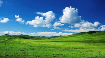 Fototapeta premium Gorgeous Natural Landscape Scenery Background: A Captivating Visual Feast. Discover the Tranquility and Beauty.