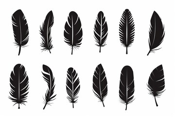 Feather icon, animal feathers isolated, black plume symbol, minimal plume silhouette on white