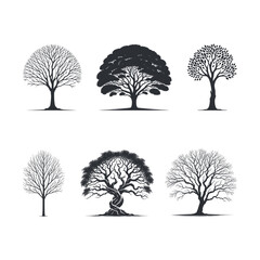 Elm Tree silhouette