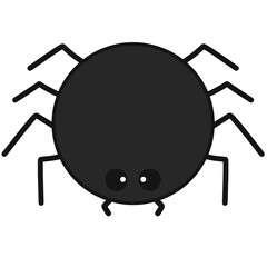 spider