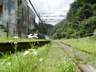 廃線跡を巡って