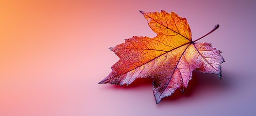 A vibrant maple leaf on a pastel background, perfect for Thanksgiving and Halloween seasonal promotions, invitations, and home decor.