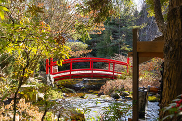 Scenic views of the Japanese Garden in the Royal Tasmanian Botanical Gardens, Hobart, Tasmania 