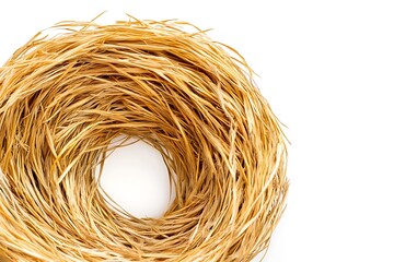 A bird's nest made of branches and blades of grass is placed on a white background.