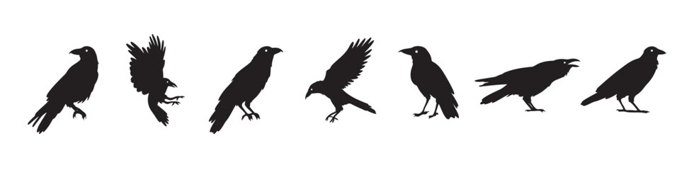 Crow isolated black silhouette set. Crows, raven halloween Dark birds icon clipart