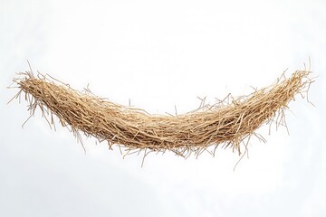 bird nest isolated on white background