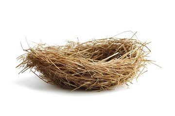 Obraz premium bird nest isolated on white background