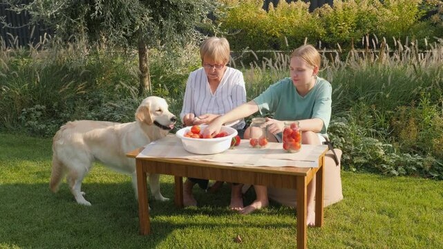 A grandmother and her granddaughter canning tomatoes together in a scenic garden, with their dog resting nearby.